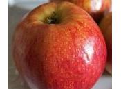 Recette cahier Mélody véritable tarte Tatin images