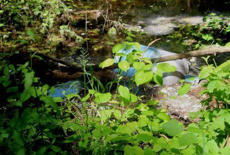 4 romi 5 juin 2013 057.jpg