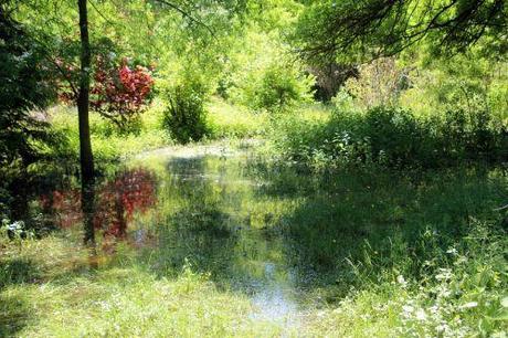 1 romi 5 juin 2013 003.jpg