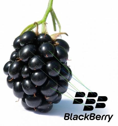 Blackberry_fruit