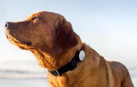 Google ChromeScreenSnapz001