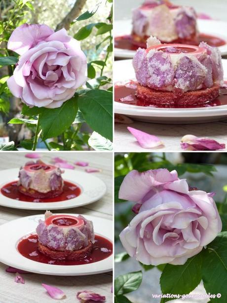 Bavaroises de roses de mai
