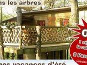Découvrez cabane dans Arbres!