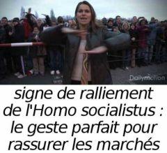 homosocialistus_gestuellebis.jpg