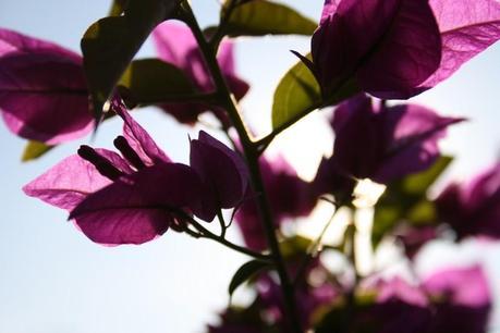 Soleil, exams et smile