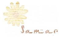 Crème glacée à la vanille (sans oeufs, sans machine) signature