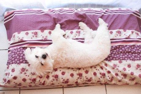 Tapis de luxe Flora - DIY tapis pour chien - les lubies de Louise (7 sur 8)