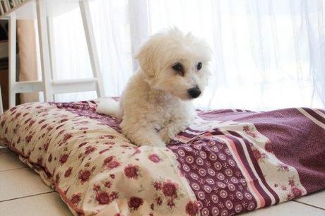 Tapis de luxe Flora - DIY tapis pour chien - les lubies de Louise (5 sur 8)