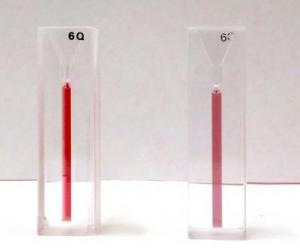 SARCOME de KAPOSI: Le détecter avec un smartphone – CLEO 2013