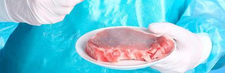 Salmonella et Campylobacter : des résistances aux antimicrobiens subsistent – EFSA Salmonella et Campylobacter : des résistances aux antimicrobiens subsistent – EFSA