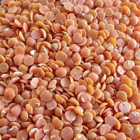 Mini poivrons farcis aux lentilles corail et à l'épeautre