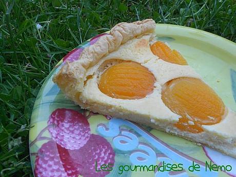 tarte-abricots--1-.JPG