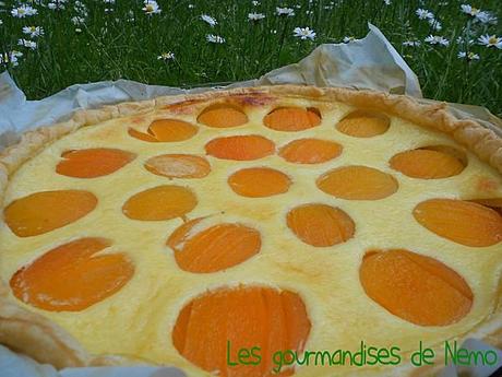 tarte-abricots--3-.JPG