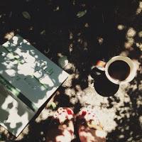 Les Photos du Dimanche #75