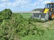 Pollution l'eau nitrates consultation publique projet d'arrêté avant l'arrêt Cour justice l'Union européenne juin