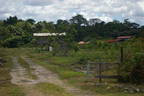 IMGP4744 Guyane en route de Montagne des Singes
