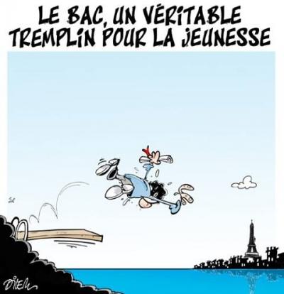 webzine,bd,gratuit,zébra,fanzine,bande-dessinée,dessin,presse,editorial cartoon,satirique,revue de presse,ali dilem,tunisien,baccalauréat