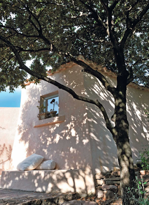 Mes coups de coeur de la semaine