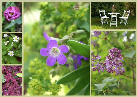 Mes coups de coeur de la semaine