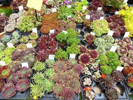 Mademoiselle aux jardins… du Château du Lude