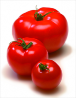 221-tomates-et-concombres1.png