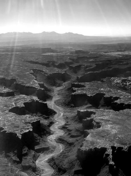 Joël Roussiez, Nous et nos troupeaux