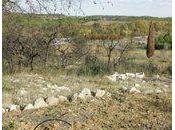 Plus demie j'ai toujours dormi...