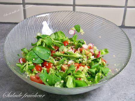 Salade fraîcheur 1