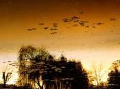 Nocturnes Giverny, exposition Elger Esser