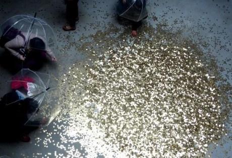 Золото на память раздают в павильоне России на Венецианской биеннале