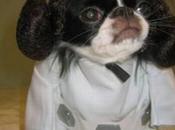 Star Wars Episode tournage prévu début 2014