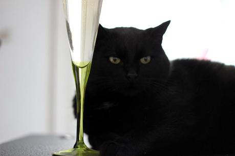 LIFESTYLE | Séjour St. Germanois