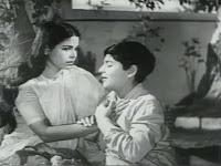 Ciné-club : meilleurs films des années 1950