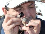 Europe: documentaire d’un scientifique marocain passionné météorites tête audiences