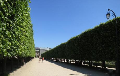 Les tilleuls du Palais Royal
