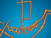 voir été: tombe viking l'île Groix