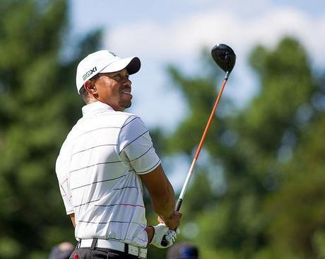 joueur du golf: Tiger Woods