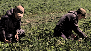 TravailleursEtrangers copie