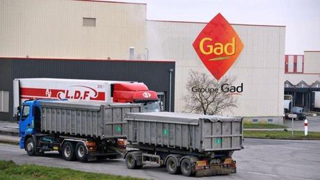 475- Cochonnerie gad