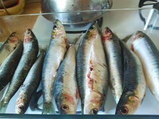 mon barbecue et mes sardines grillées