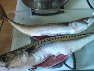 mon barbecue et mes sardines grillées