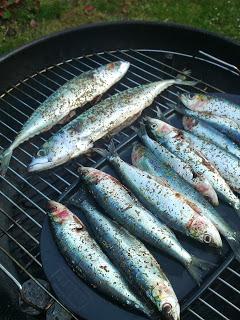 mon barbecue et mes sardines grillées