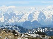 Visite bouquetins Sous-Dine