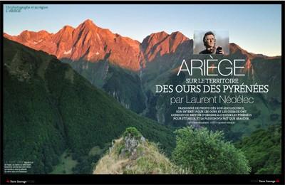 Terre_sauvage_ours_ariege