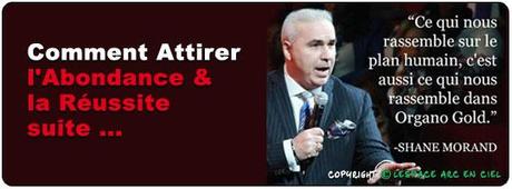 Comment Attirer Abondance et Réussite