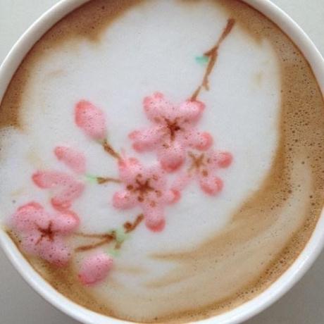 cherry-blossom-coffee-nowtoo-sugi