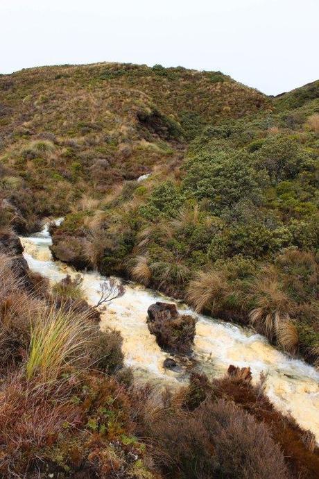 Nouvelle Zélande - Tongariri national parc - Les lubies de louise (11 sur 25)