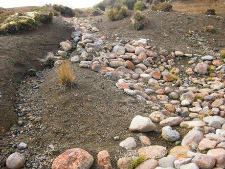 Nouvelle Zélande - Tongariri national parc - Les lubies de louise (24 sur 25)