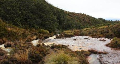 Nouvelle Zélande - Tongariri national parc - Les lubies de louise (10 sur 25)