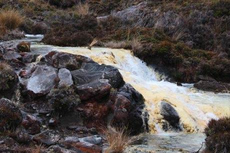 Nouvelle Zélande - Tongariri national parc - Les lubies de louise (13 sur 25)